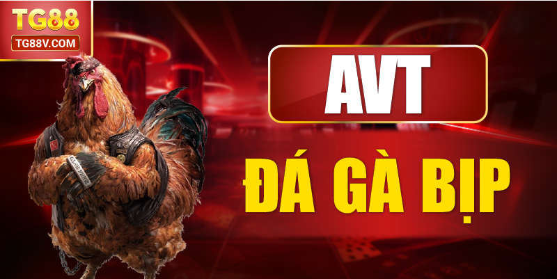 Đá gà bịp